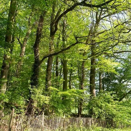 Сasa de vacaciones Les Plachettes Flobecq