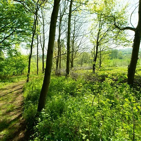 Les Plachettes * Flobecq