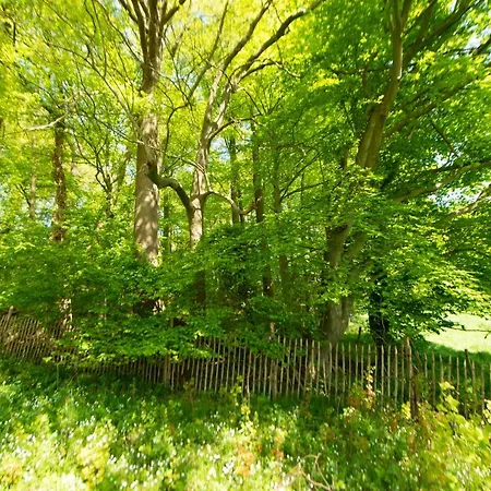 Les Plachettes 度假居 *