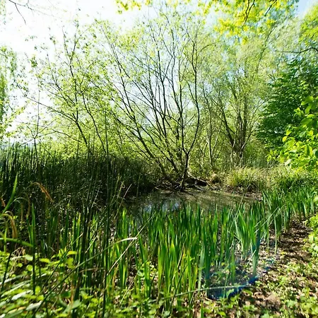 Prázdninový dům Les Plachettes Flobecq