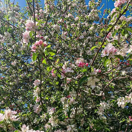 Les Plachettes 度假居