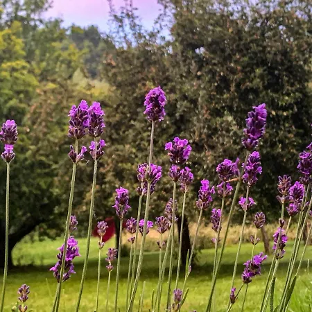 度假居 Les Plachettes *