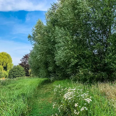 Vakantiehuis Les Plachettes Flobecq