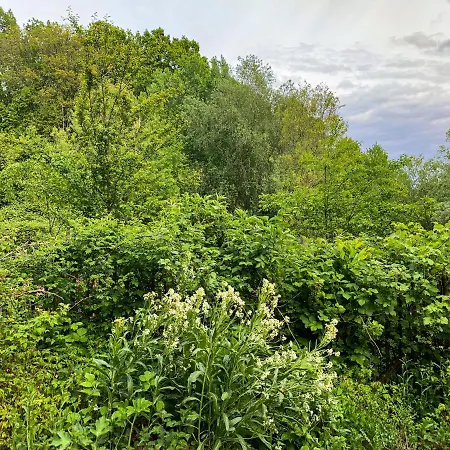 Сasa de vacaciones Les Plachettes