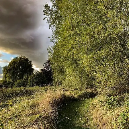 Les Plachettes 度假居 Flobecq