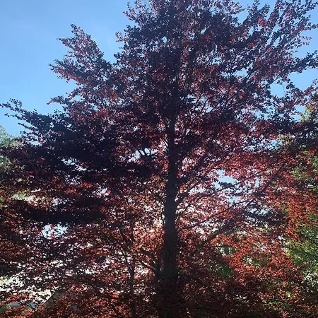 Сasa de vacaciones Les Plachettes *