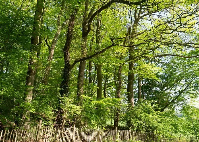 بيت للعطل Les Plachettes Flobecq