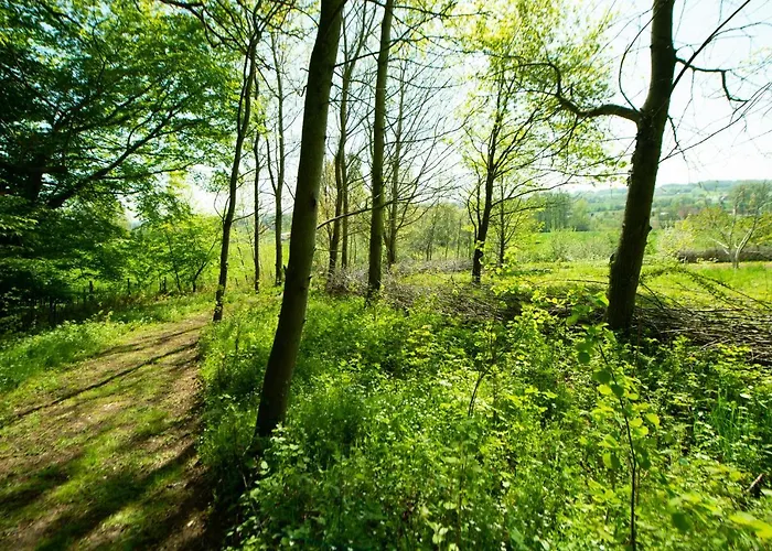 Les Plachettes * Flobecq