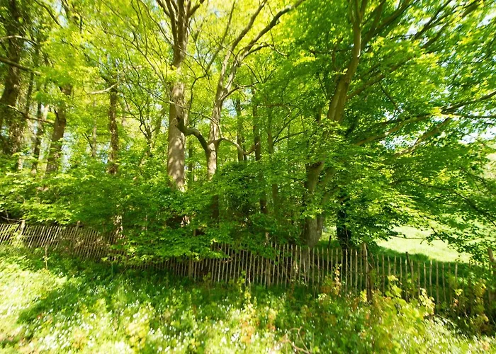 Les Plachettes بيت للعطل *