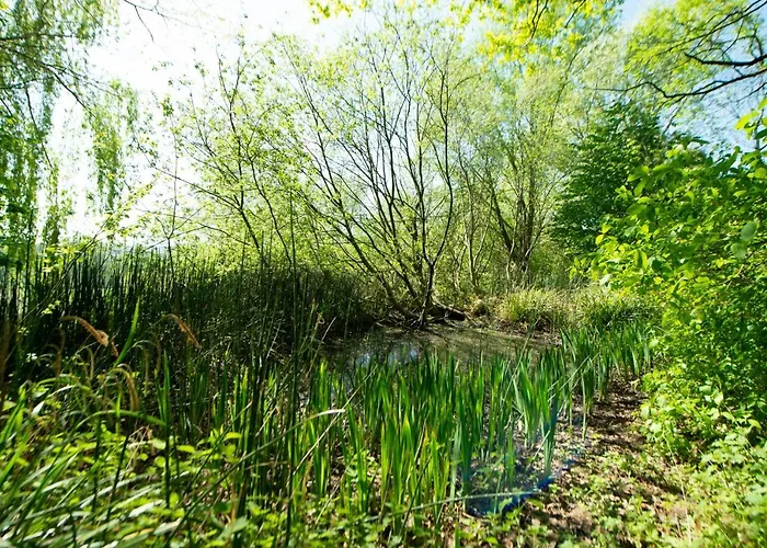 بيت للعطل Les Plachettes Flobecq