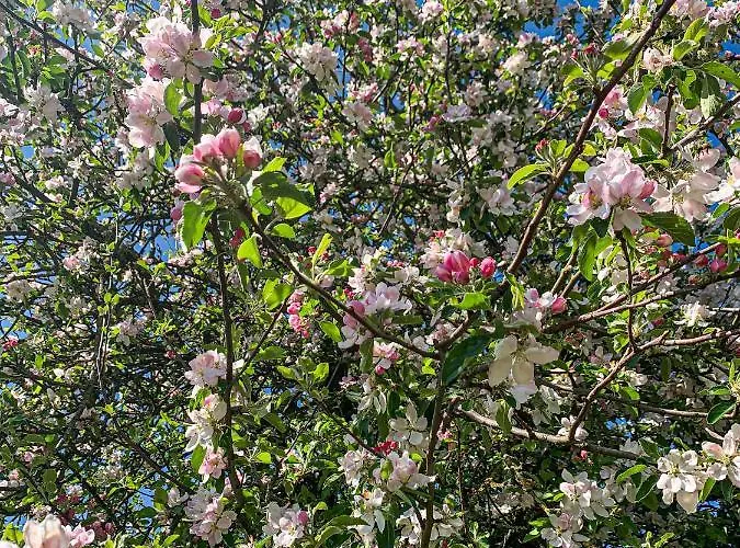 Les Plachettes بيت للعطل