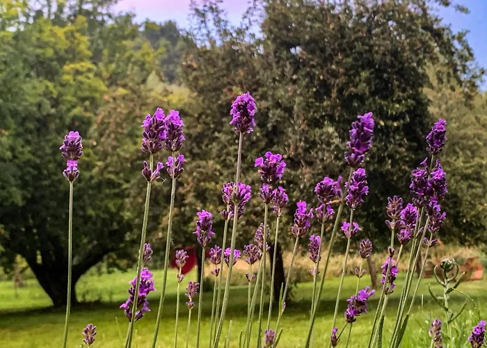 بيت للعطل Les Plachettes *