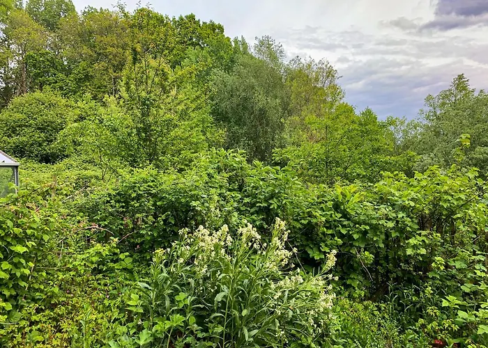 بيت للعطل Les Plachettes