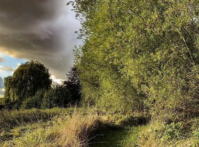 Les Plachettes بيت للعطل Flobecq