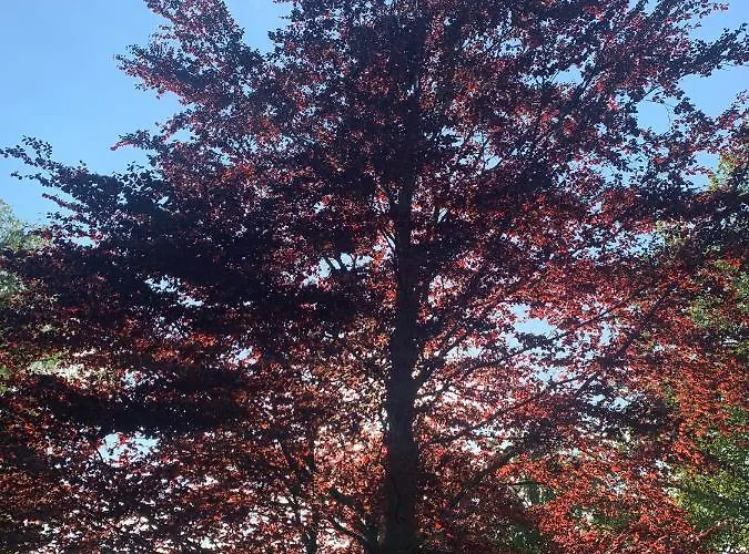 بيت للعطل Les Plachettes *