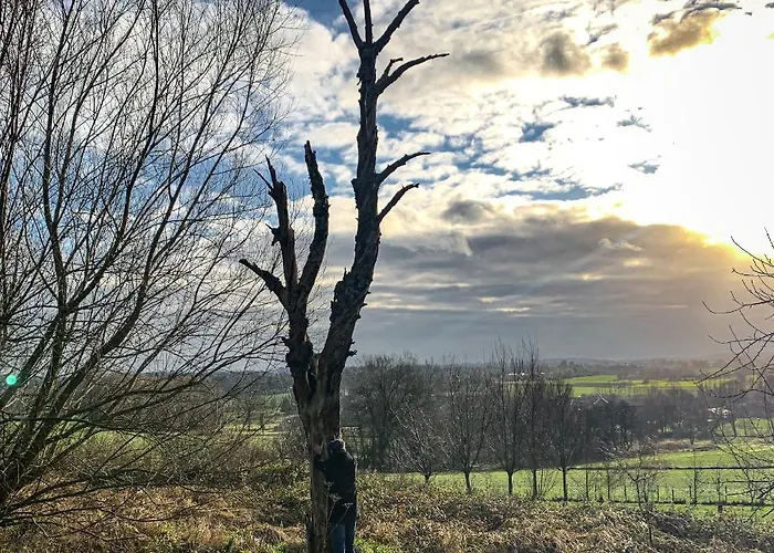 بيت للعطل Les Plachettes Flobecq